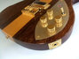 Rickenbacker 650/6 Excalibur, Vermillion: Close up - Free