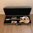 Rickenbacker 360/6 , Mapleglo: Free image2