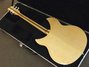 Rickenbacker 330/6 , Mapleglo: Full Instrument - Rear