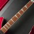 Rickenbacker 1993/12 Plus, Fireglo: Neck - Front
