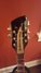 Rickenbacker 660/12 TP, Jetglo: Headstock