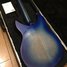 Rickenbacker 330/6 , Blueburst: Full Instrument - Rear
