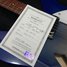 Rickenbacker 330/6 , Blueburst: Close up - Free