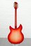Rickenbacker 360/12 C63, Fireglo: Full Instrument - Rear