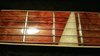 Rickenbacker 660/6 75th Ann, DCMetallic: Free image