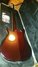 Rickenbacker 660/6 75th Ann, DCMetallic: Full Instrument - Rear