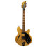Rickenbacker 360/6 BH BT, Mapleglo: Full Instrument - Front