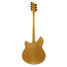 Rickenbacker 360/6 BH BT, Mapleglo: Full Instrument - Rear