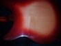 Rickenbacker 330/12 , Fireglo: Full Instrument - Rear