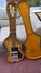 Rickenbacker 4000/4 Mod, Mapleglo: Free image2