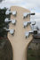 Rickenbacker 620/6 , Mapleglo: Headstock - Rear