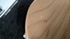 Dec 2015 Rickenbacker 4003/4 Mod, Natural Walnut: Body - Rear