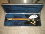 Rickenbacker 330/6 , Jetglo: Close up - Free2