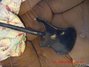 Rickenbacker 4001/4 , Jetglo: Full Instrument - Rear