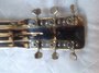 Rickenbacker NS 100/6 LapSteel, Silver: Headstock - Rear
