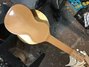 Rickenbacker BD/6 LapSteel, Copper: Full Instrument - Rear