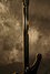 Oct 1972 Rickenbacker 4001/4 , Jetglo: Neck - Rear