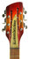 Rickenbacker 660/12 , Amber Fireglo: Headstock