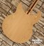 Aug 2013 Rickenbacker 330/6 , Mapleglo: Body - Rear