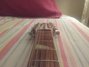 Rickenbacker 360/12 , Mapleglo: Neck - Front