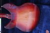 Oct 1987 Rickenbacker 1998/6 PT, Fireglo: Body - Rear