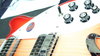 Rickenbacker 360/6 , Fireglo: Close up - Free2