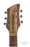 Rickenbacker 660/6 , Mapleglo: Headstock