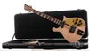 Rickenbacker 660/6 , Mapleglo: Free image2