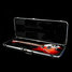 Rickenbacker 360/6 , Fireglo: Free image2