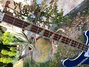 Rickenbacker 4001/4 , Azureglo: Neck - Front