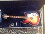 Rickenbacker 381/12 V69, Fireglo: Full Instrument - Front