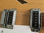 Rickenbacker 360/12 , Mapleglo: Free image2