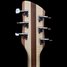 Rickenbacker 330/6 , Natural Walnut: Headstock - Rear