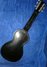 Rickenbacker B/6 LapSteel, Black: Full Instrument - Rear