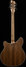 Rickenbacker 360/12 , Natural Walnut: Full Instrument - Rear