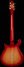 Rickenbacker 660/6 , Fireglo: Full Instrument - Rear