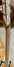 Rickenbacker 360/12 VP, Mapleglo: Neck - Front