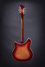 Rickenbacker 370/12 RM, Fireglo: Full Instrument - Rear