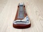 Rickenbacker SW/8 LapSteel, Walnut: Free image