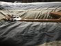 Rickenbacker 330/12 , Mapleglo: Neck - Rear