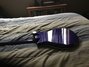 Aug 2016 Rickenbacker 660/6 , Midnightblue: Body - Rear