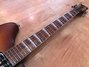 Rickenbacker 370/6 Limited Edition, Autumnglo: Neck - Front