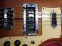 Rickenbacker 4001/4 , Autumnglo: Close up - Free2