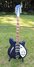 Rickenbacker 370/12 , Midnightblue: Full Instrument - Front
