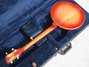 Rickenbacker 6000/5 Bantar, Fireglo: Full Instrument - Rear
