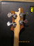 Rickenbacker 4003/4 S, Mapleglo: Headstock - Rear
