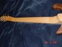 Rickenbacker 650/6 Dakota, Natural Walnut: Neck - Rear