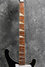 Rickenbacker 4003/4 , Jetglo: Neck - Front