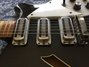Rickenbacker 375/6 , Jetglo: Close up - Free2