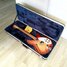 Rickenbacker 330/6 , Fireglo: Free image2